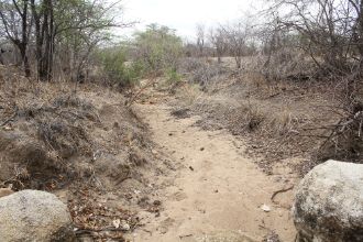 Ein ausgetrocknetes Flussbett in Simbabwe.