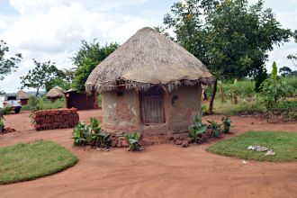 Eine runde Backsteinhütte mit strohgedecktem Dach als typisches ugandisches Haus auf dem Land.