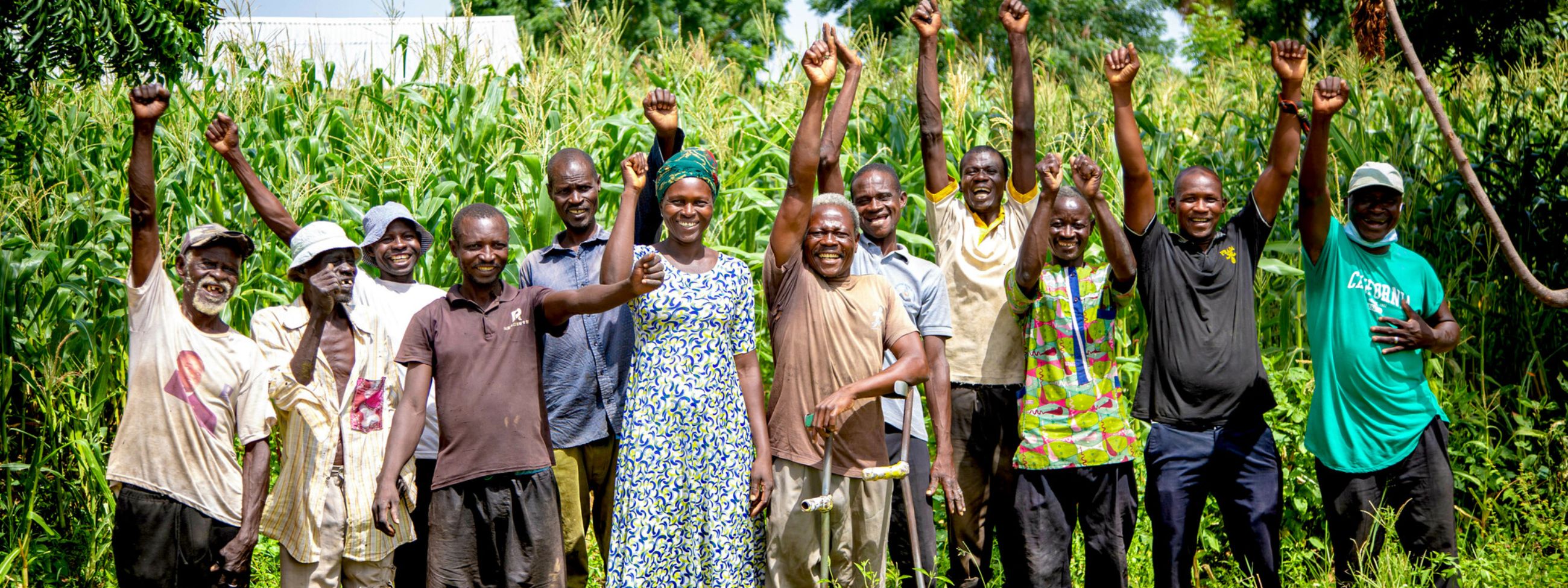 A group of farmers in front of a maize field 